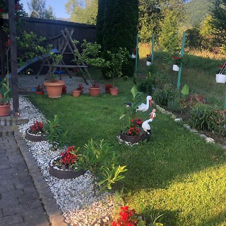 Pensiunea Casa Cu Flori Чиснадьоара Экстерьер фото