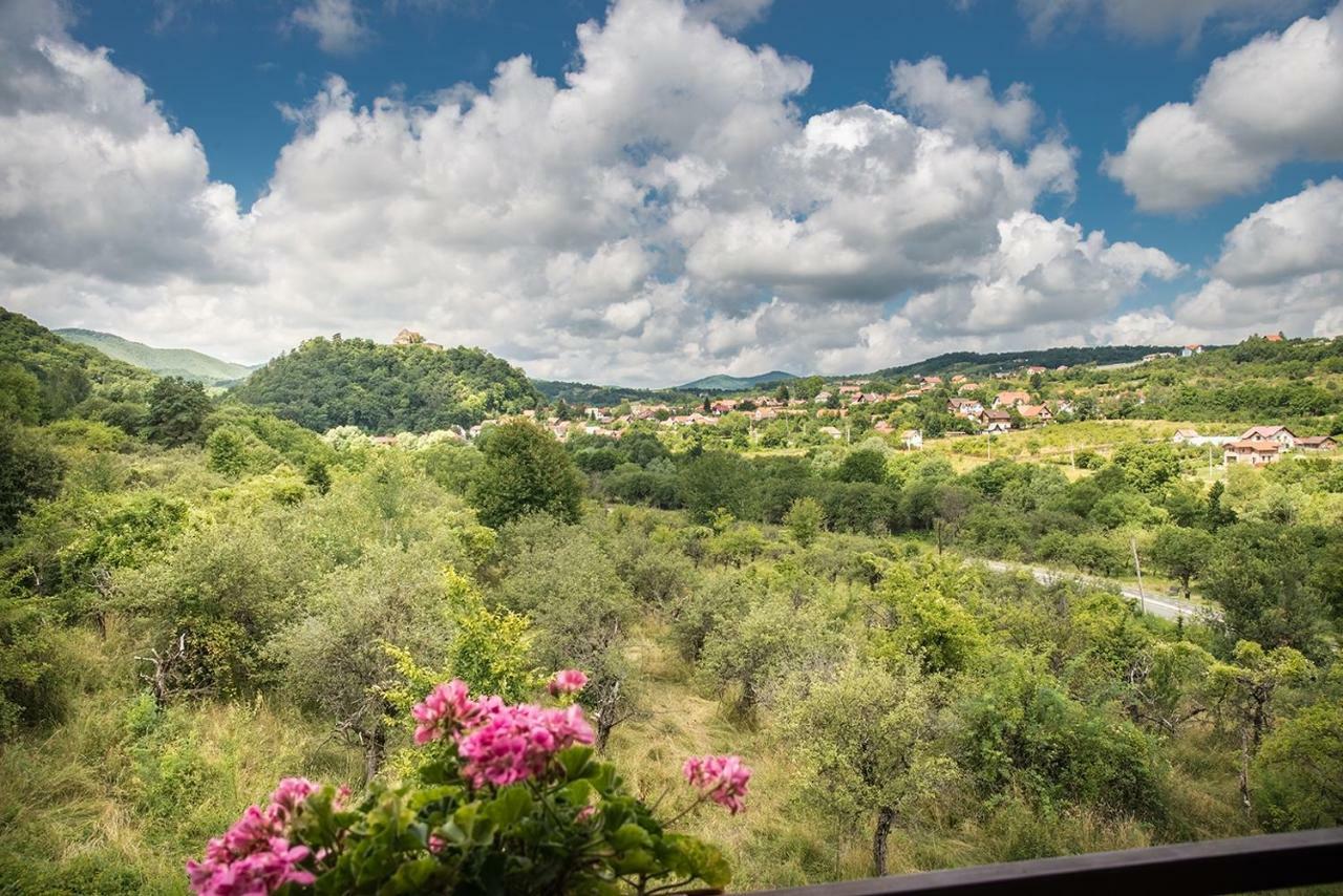 Pensiunea Casa Cu Flori Чиснадьоара Экстерьер фото
