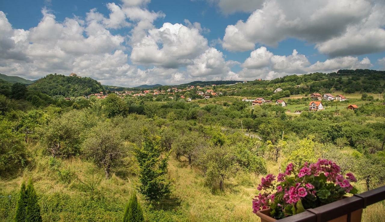 Pensiunea Casa Cu Flori Чиснадьоара Экстерьер фото