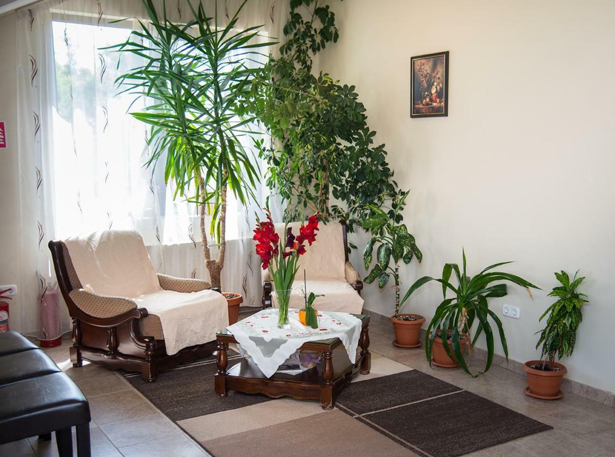 Pensiunea Casa Cu Flori Чиснадьоара Экстерьер фото